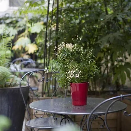 Le Secret Du 16eme - 2 - Family - 6 Personnes - Vue Sur Rue
